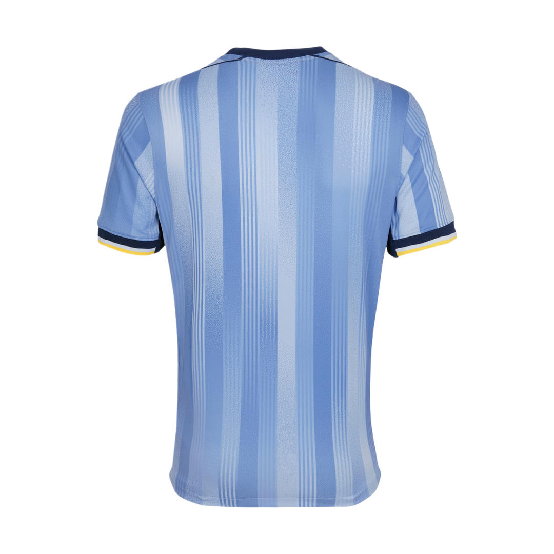 2024-25 Tottenham Hotspur FC Away Kit