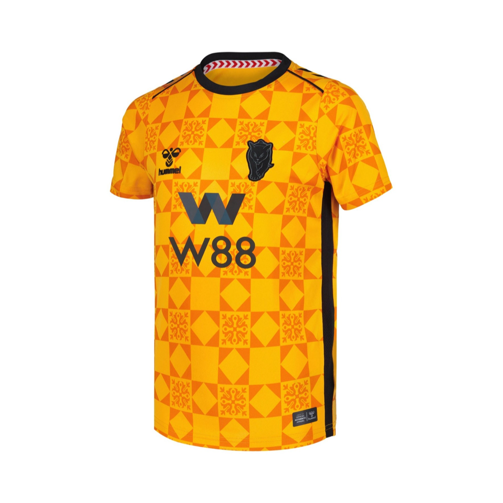 2025-26 Sunderland AFC Equipación Portero
