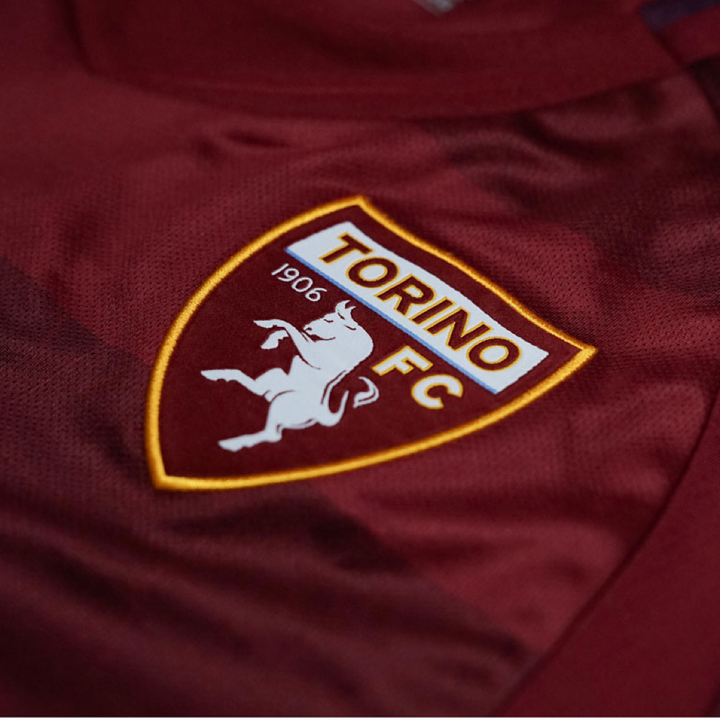 2024-25 Torino FC 1a Equipación