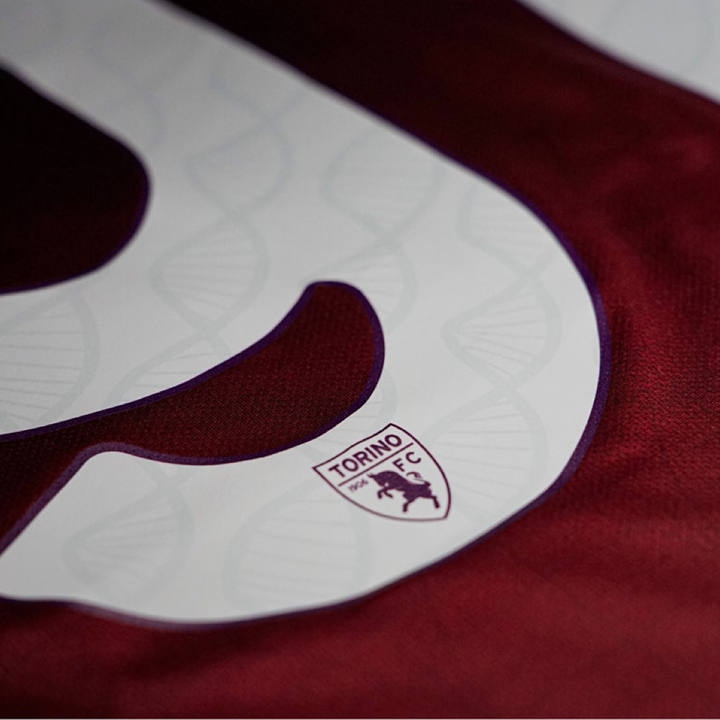 2024-25 Torino FC 1a Equipación