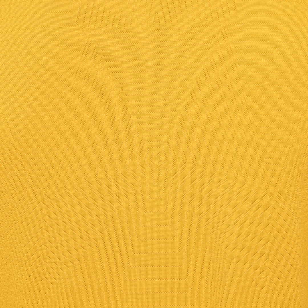 2024-25 Wolverhampton Wanderers FC Home Kit