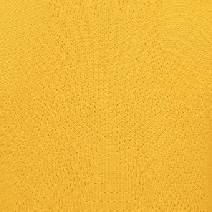 2024-25 Wolverhampton Wanderers FC Home Kit