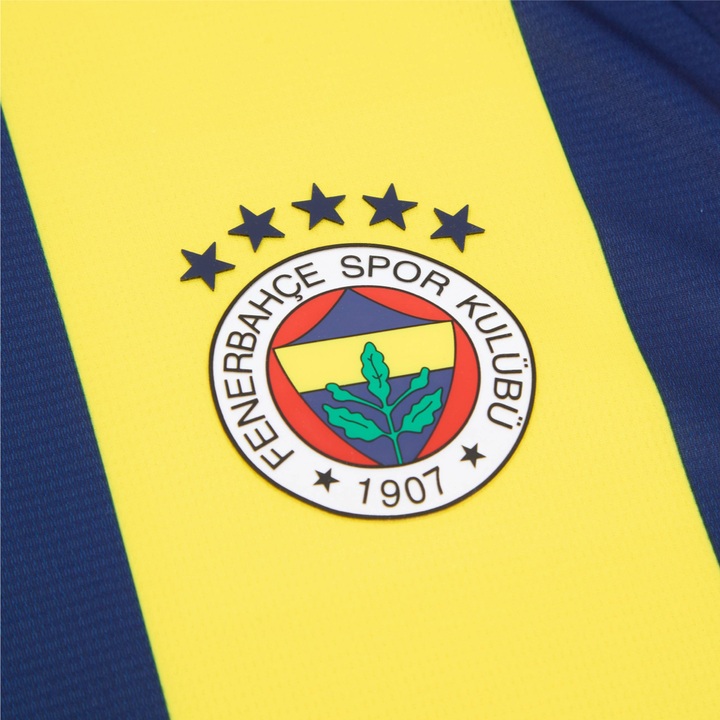 2024-25 Fenerbahçe SK Home Kit
