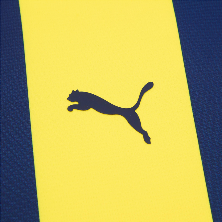 2024-25 Fenerbahçe SK Home Kit
