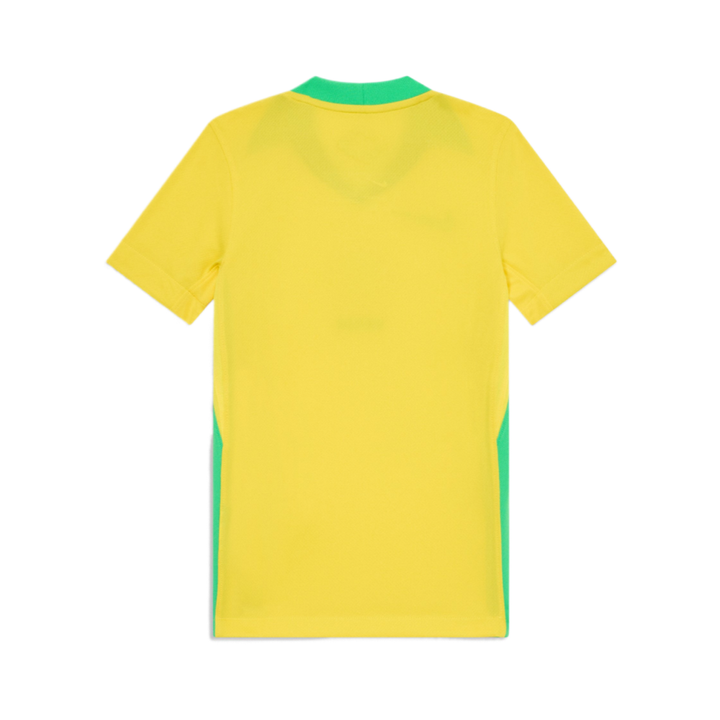 2025 Brazil Home Kit