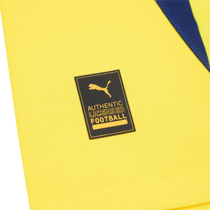 2024-25 Fenerbahçe SK Home Kit