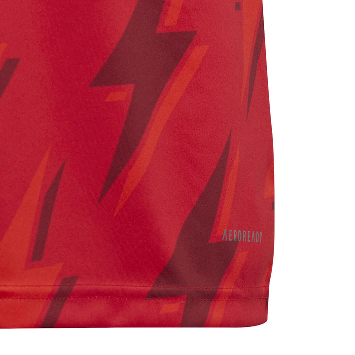 Arsenal FC Training Shirt