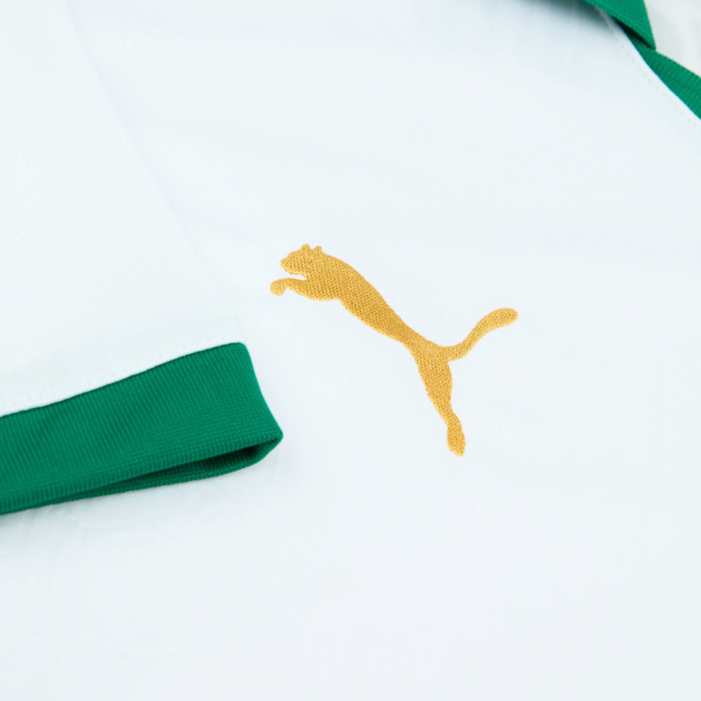 2024-25 SE Palmeiras 2a Equipacion