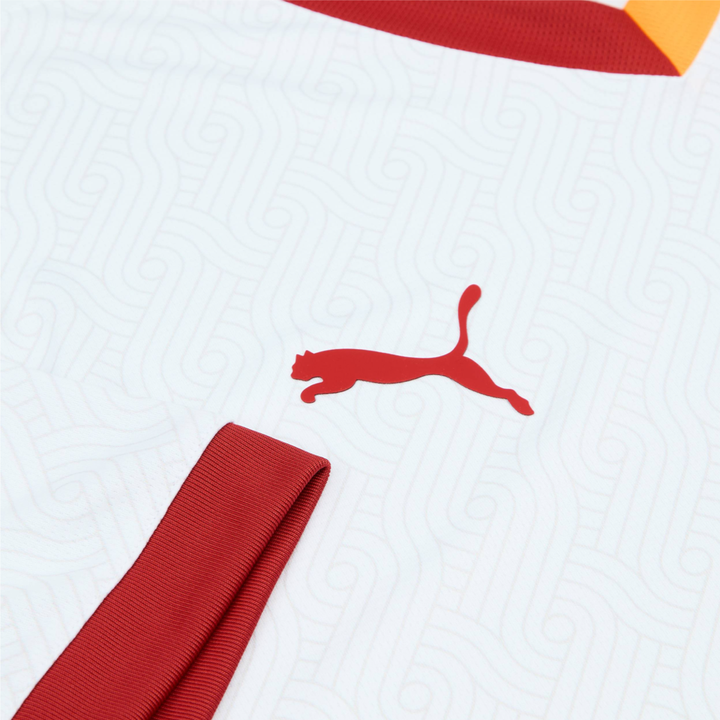 Kit extérieur Galatasaray SK 2024-25