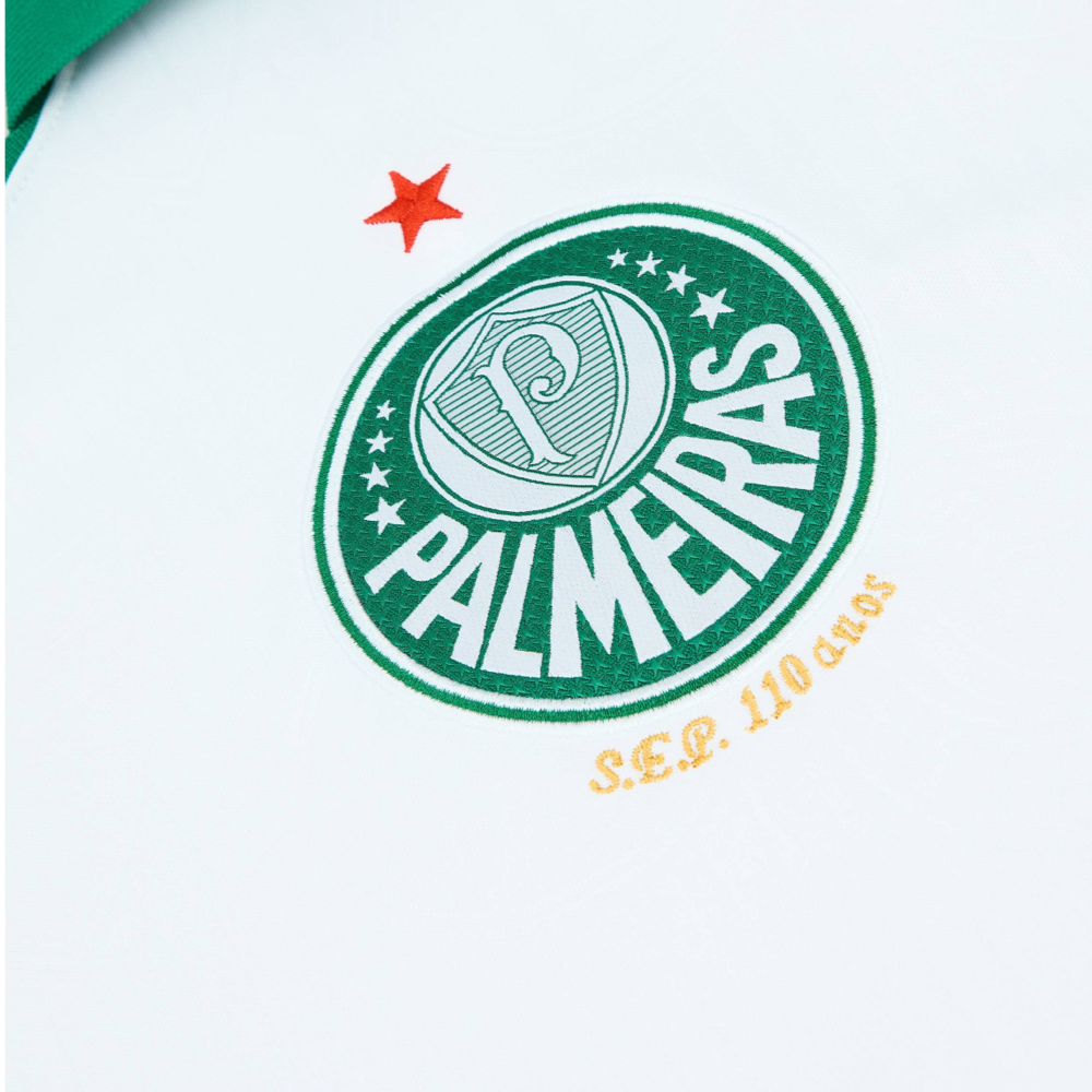 2024-25 SE Palmeiras 2a Equipacion