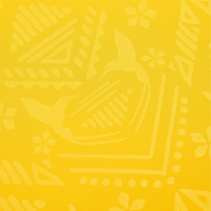 2024 Jamaica Home Kit