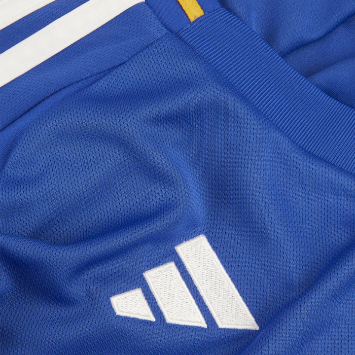 2024-25 Leicester City FC 1a Equipacion